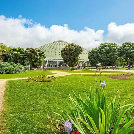 Bombarda Iv By Innkeeper