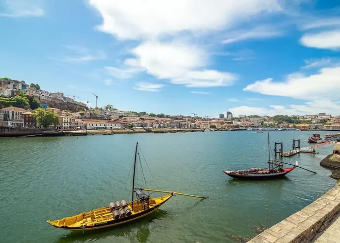 Bombarda Iv By Innkeeper Oporto