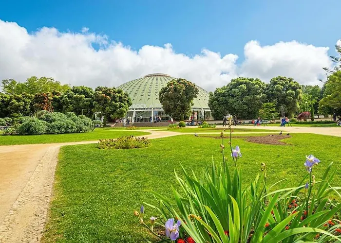 Bombarda Iv By Innkeeper